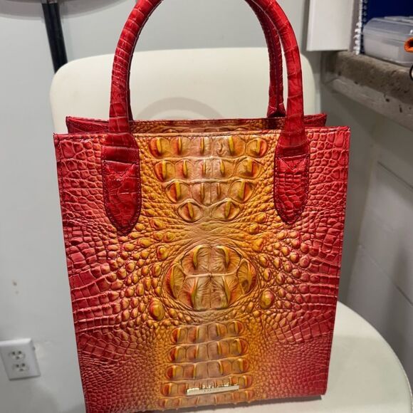 Euc Brahmin Moria strap tags dust bag